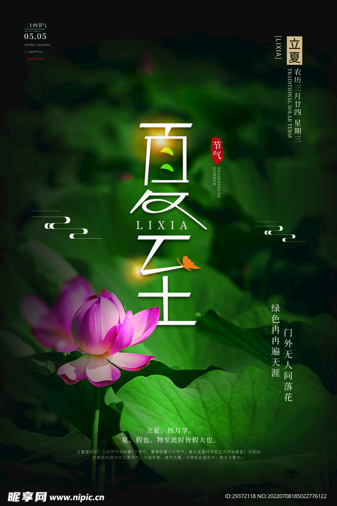 简约时尚小清新夏至节日海报