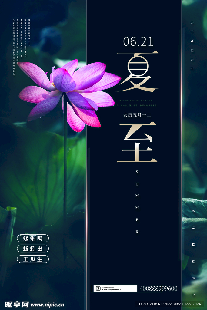 深色高档大气夏至节日海报