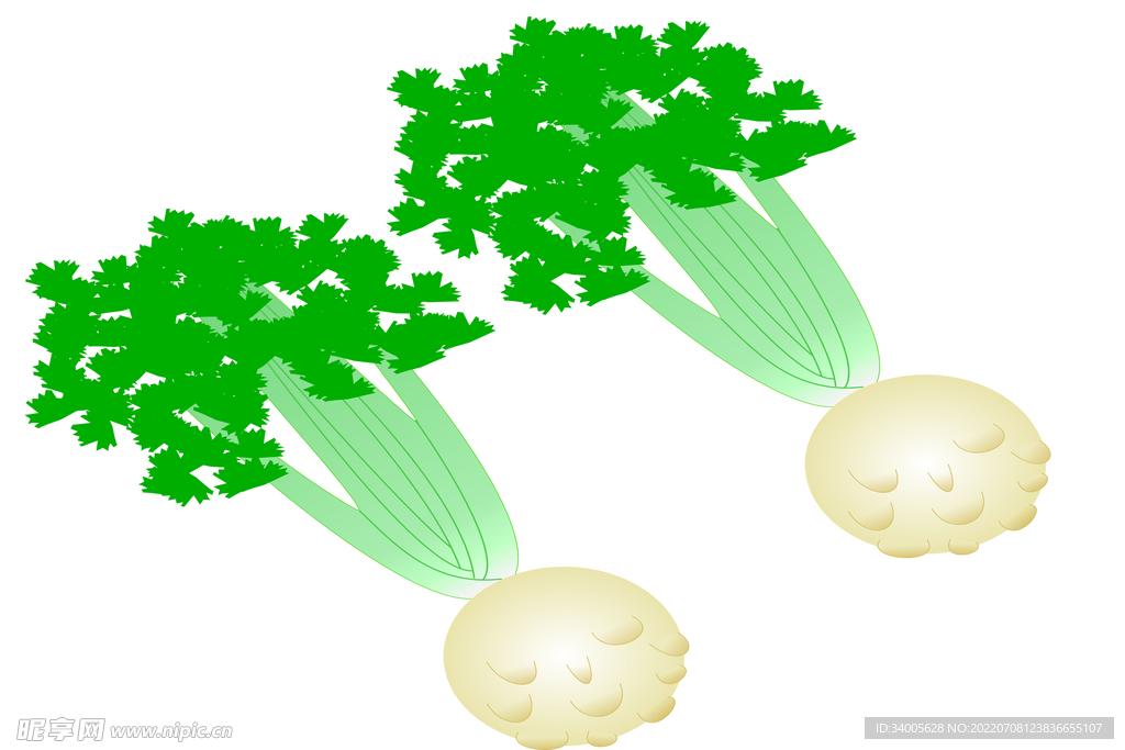 芹菜白头