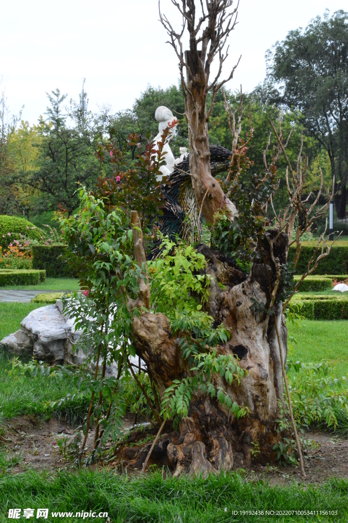 公园风景 