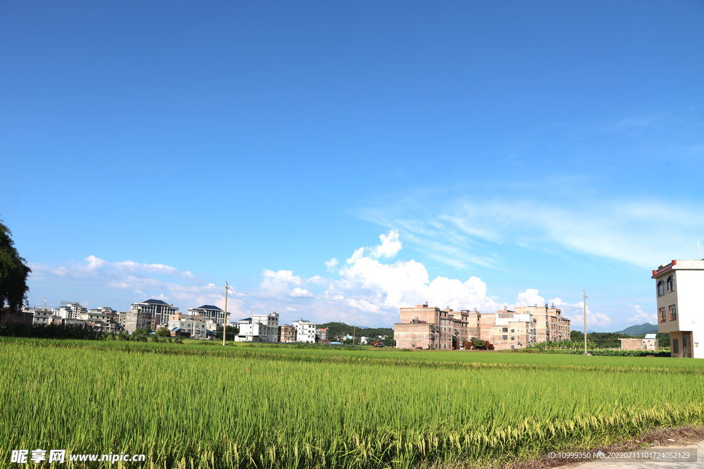 农村田园风光