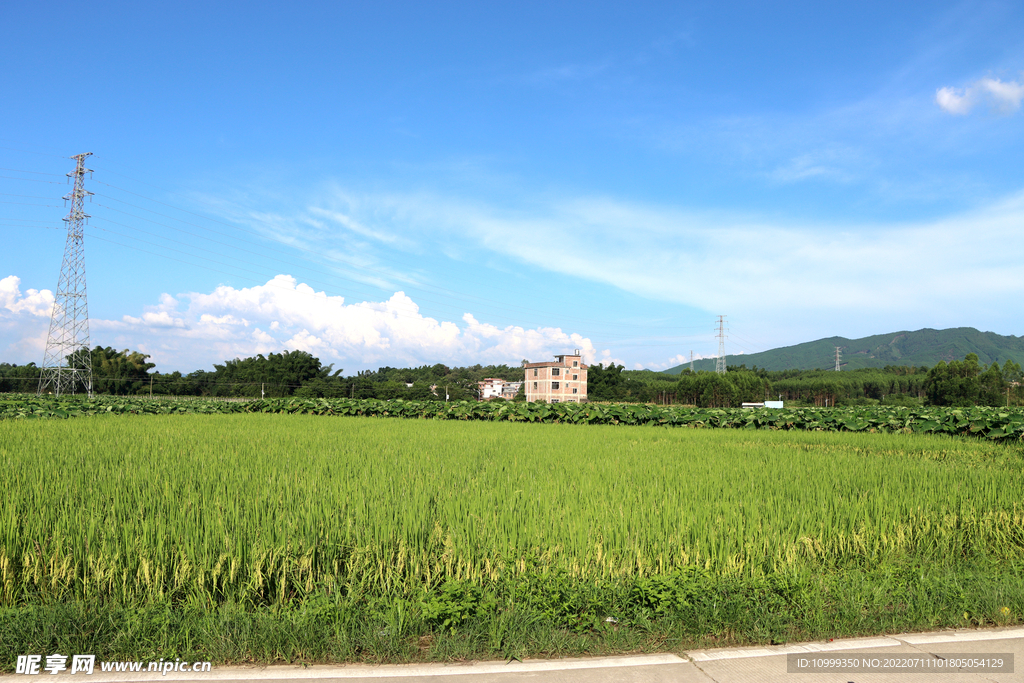 田园风光