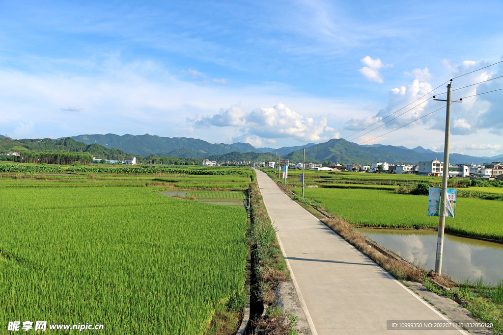 田园风光