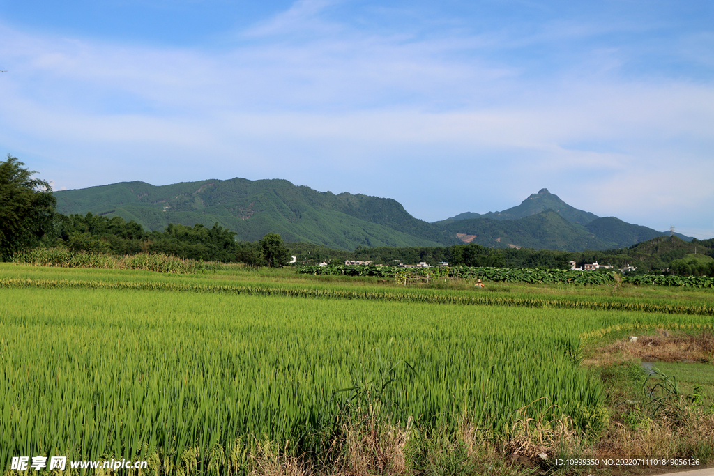 田园风光