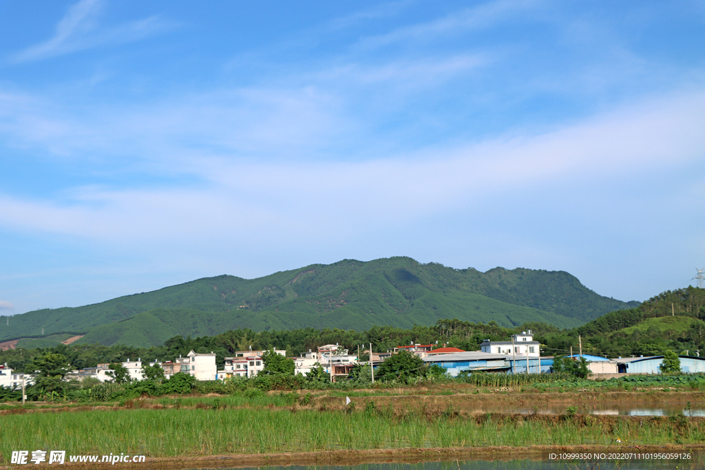 田园风光
