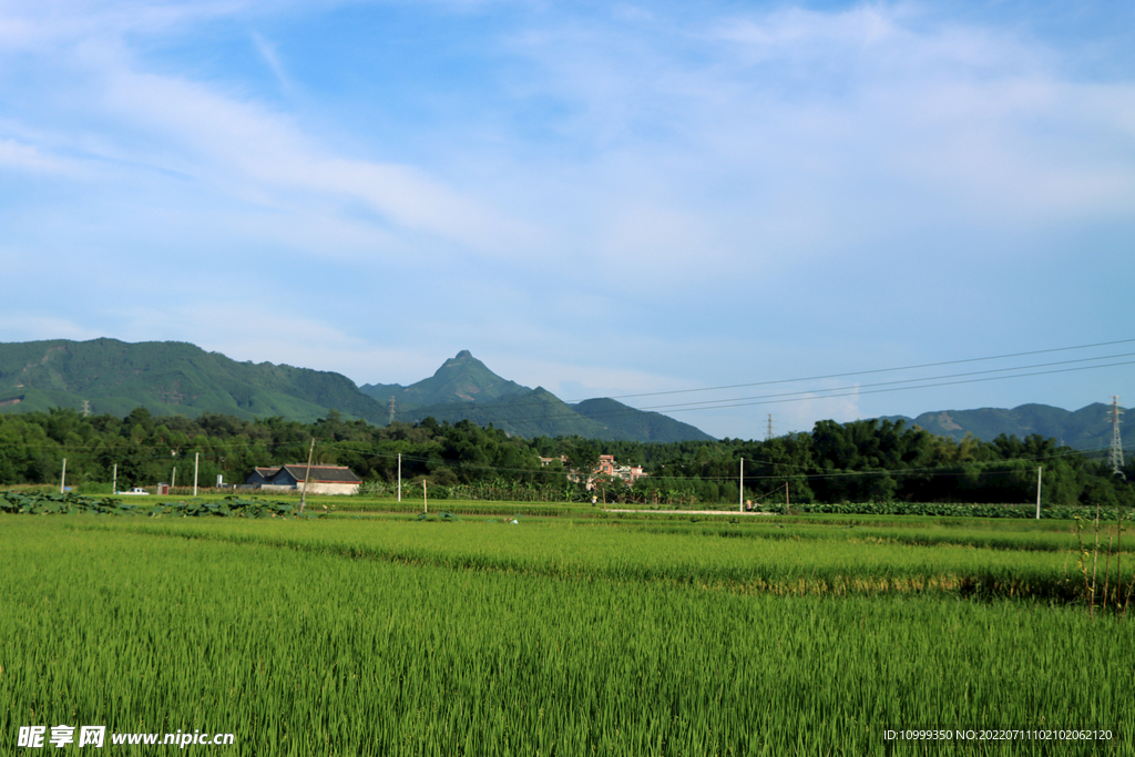 田园风光