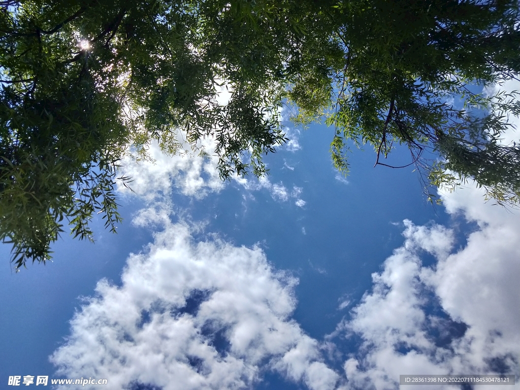 风景
