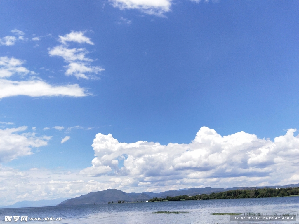 海天