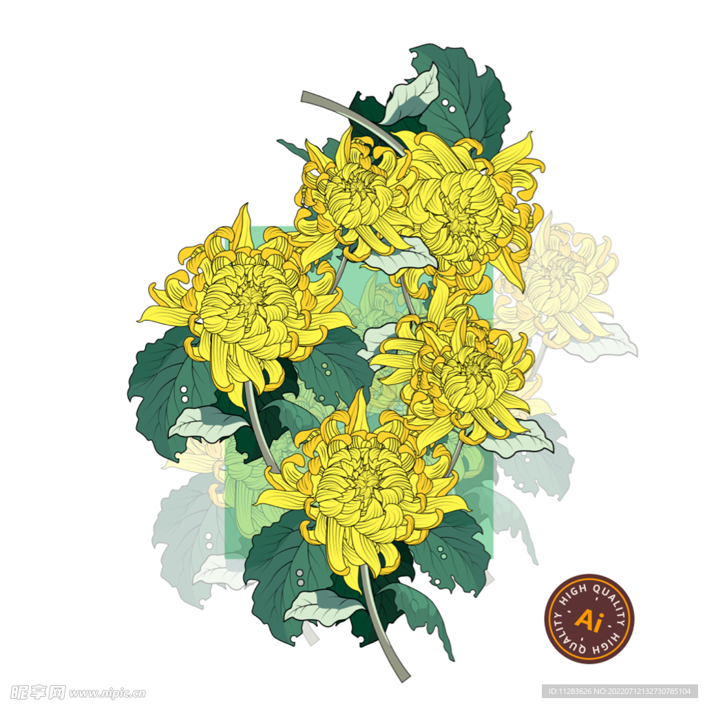 手绘菊花矢量素材