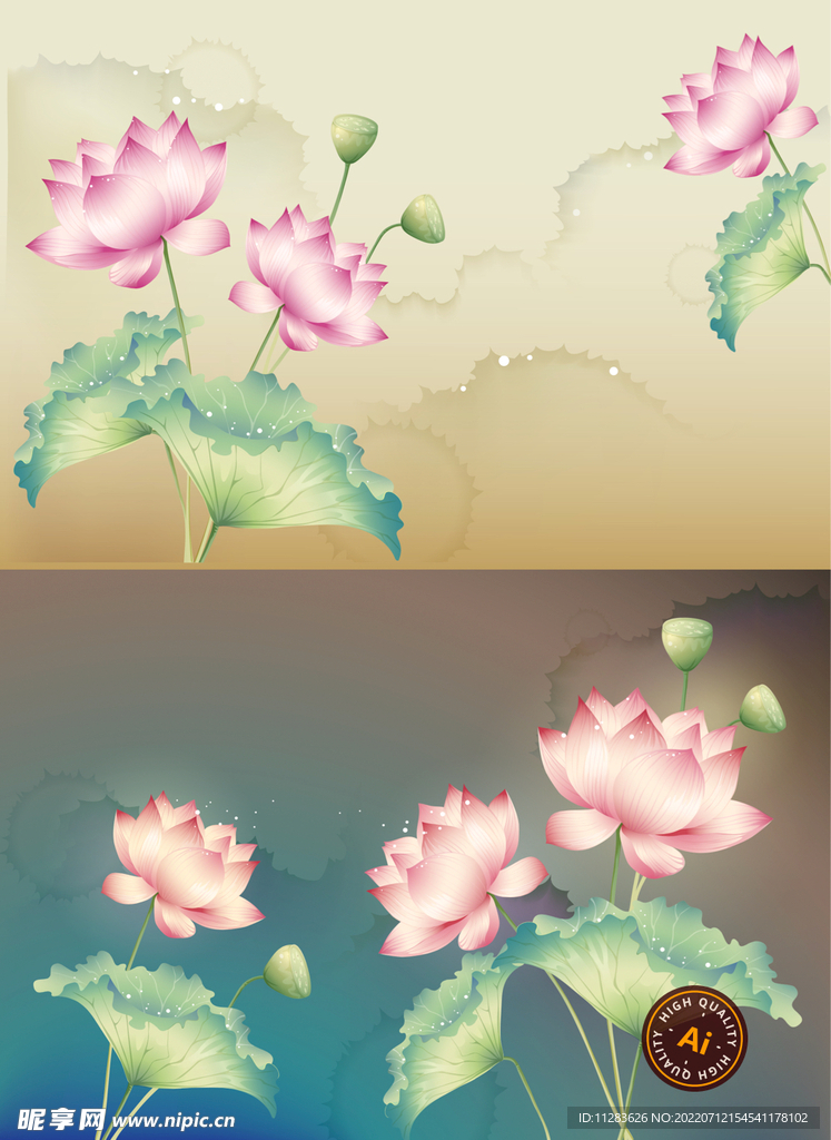 荷花插画海报