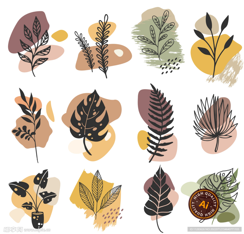 植物叶片矢量插画