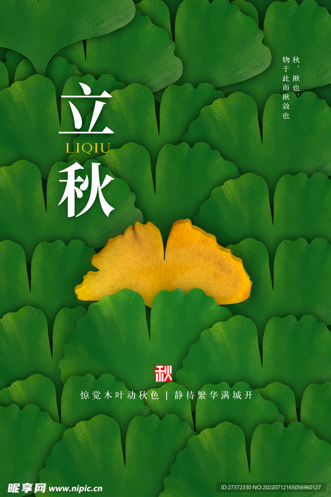 立秋海报