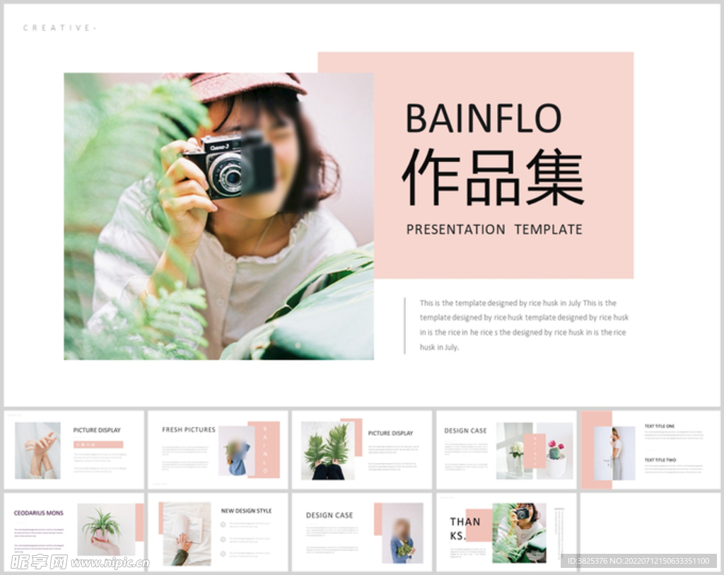 小清新ins风总结报告通用模板
