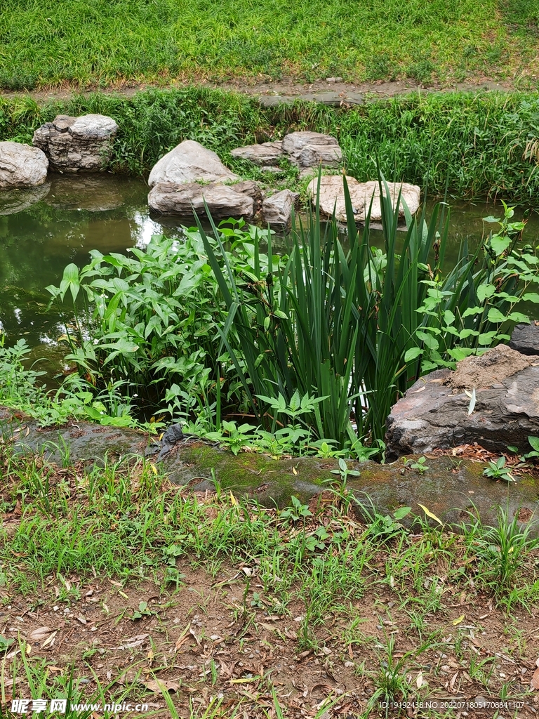 公园风景  