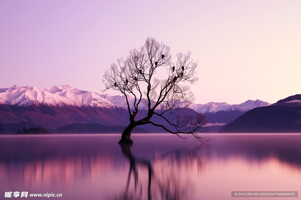 山