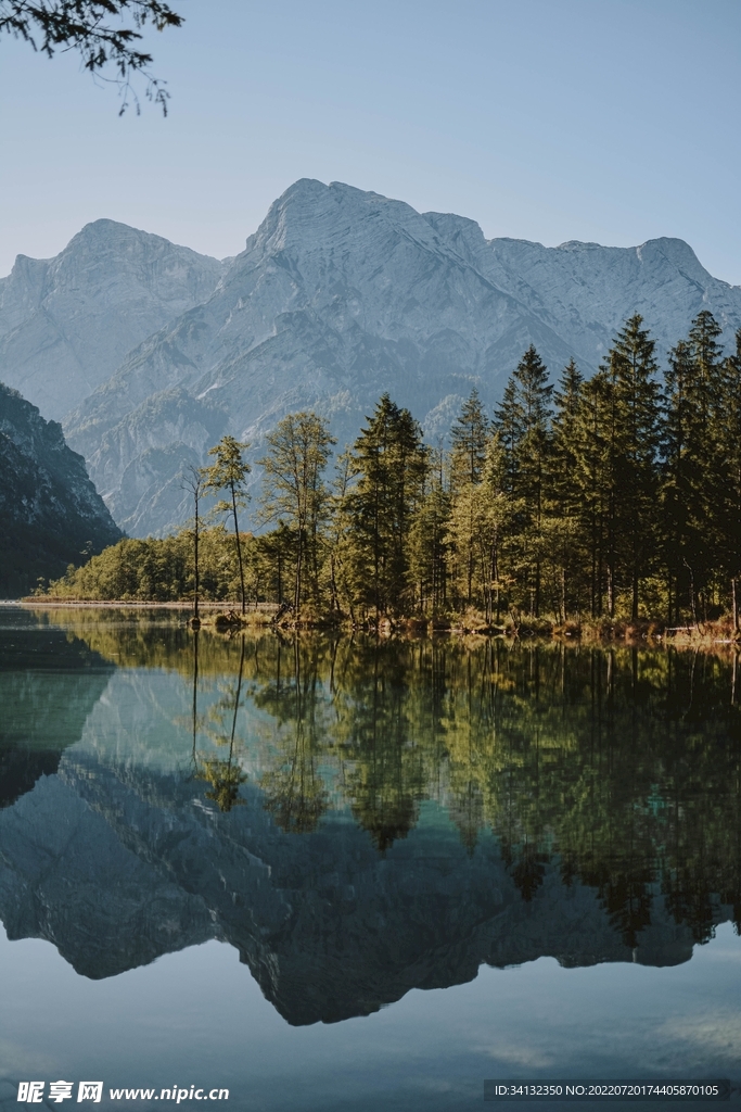 山
