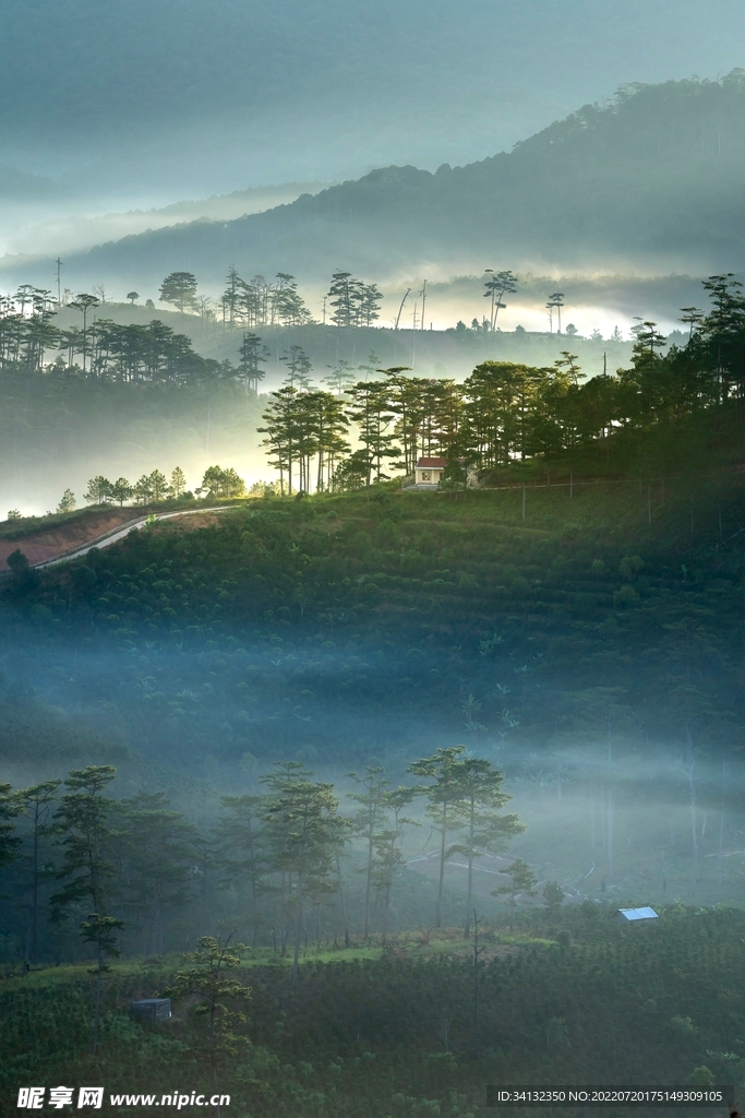 山