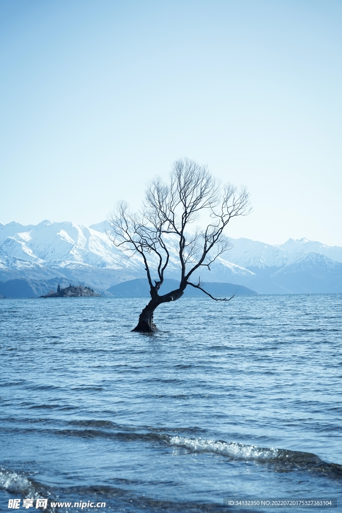 水
