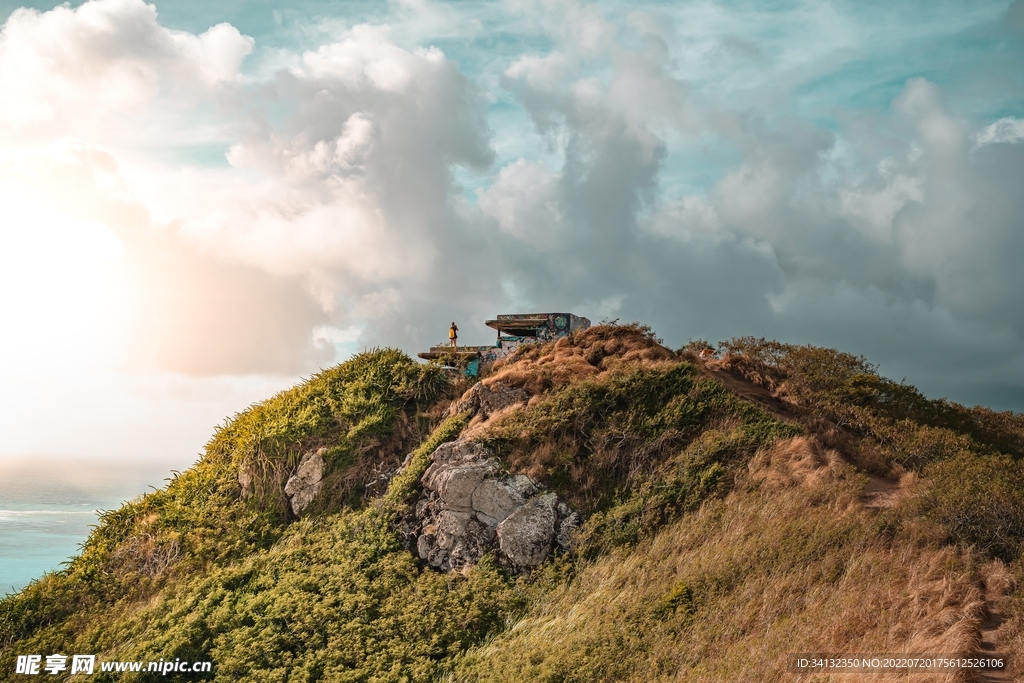 山