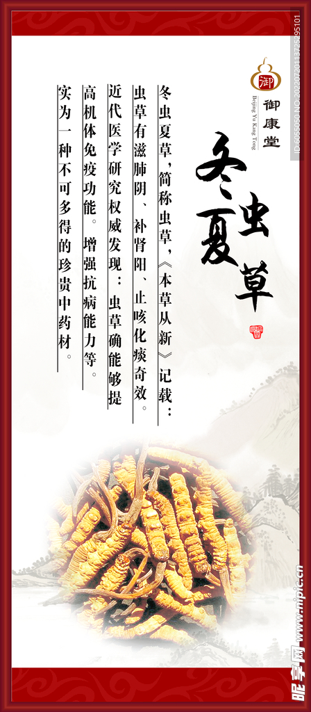 冬虫夏草