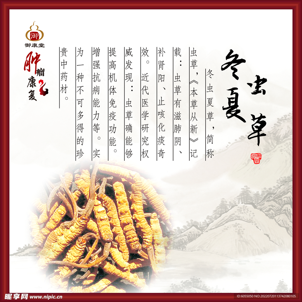 冬虫夏草