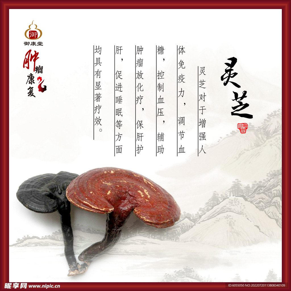 灵芝