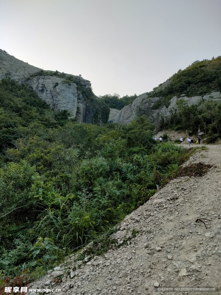 青山 山路 大山