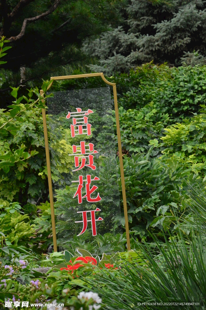 公园风景