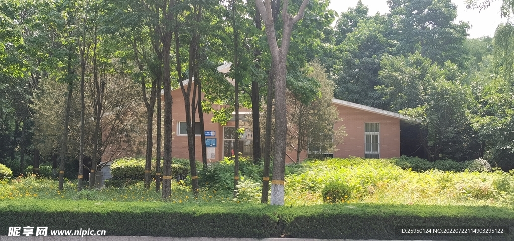 林中小屋