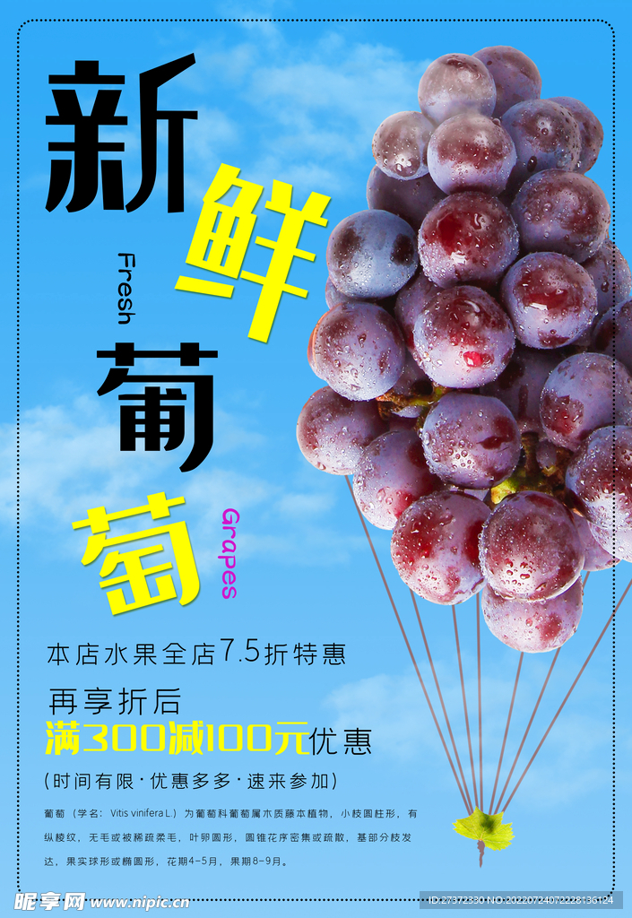 葡萄海报