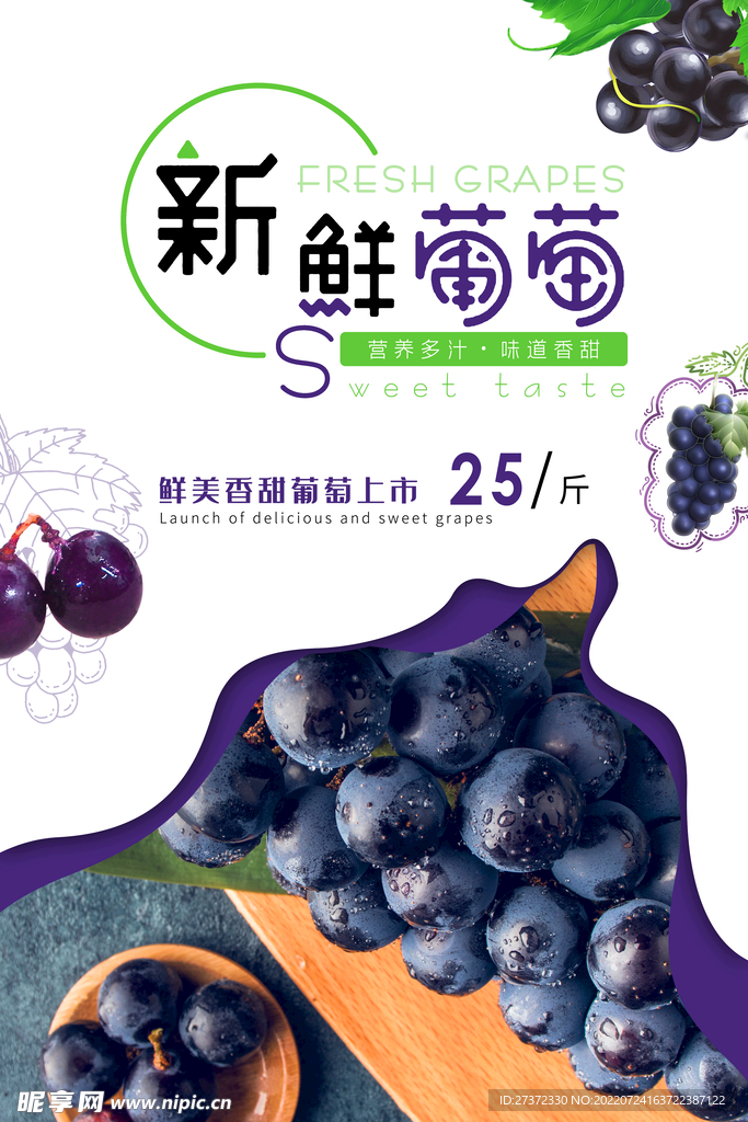 葡萄海报