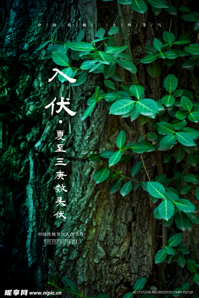 入伏海报