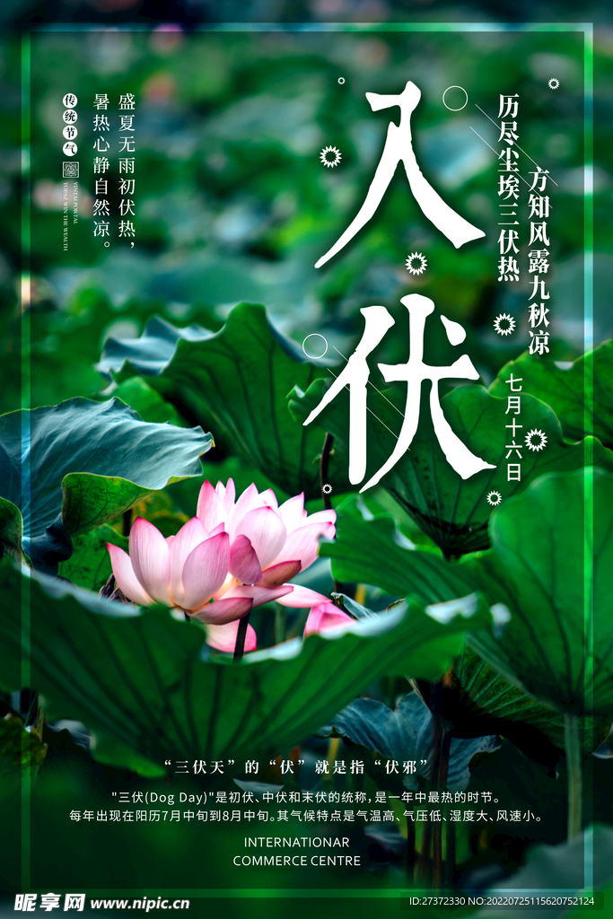 入伏海报
