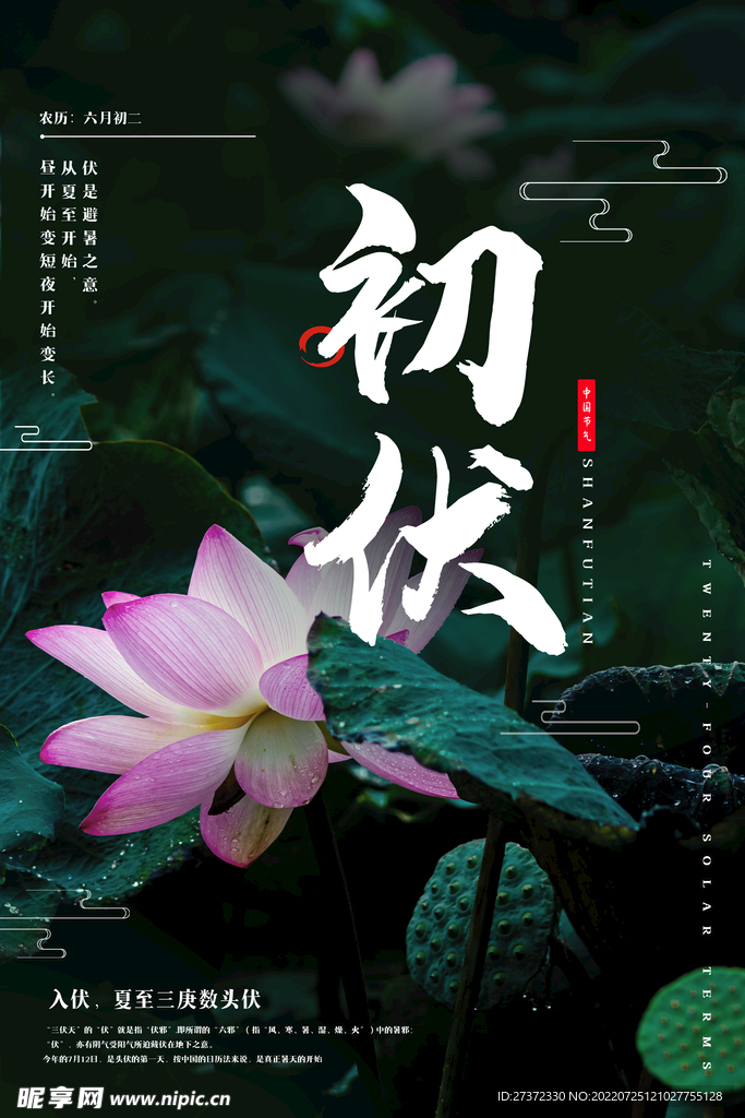 入伏海报