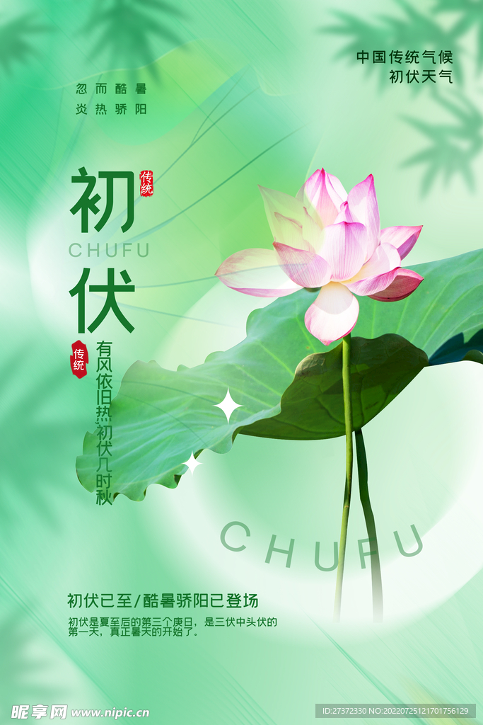 入伏海报