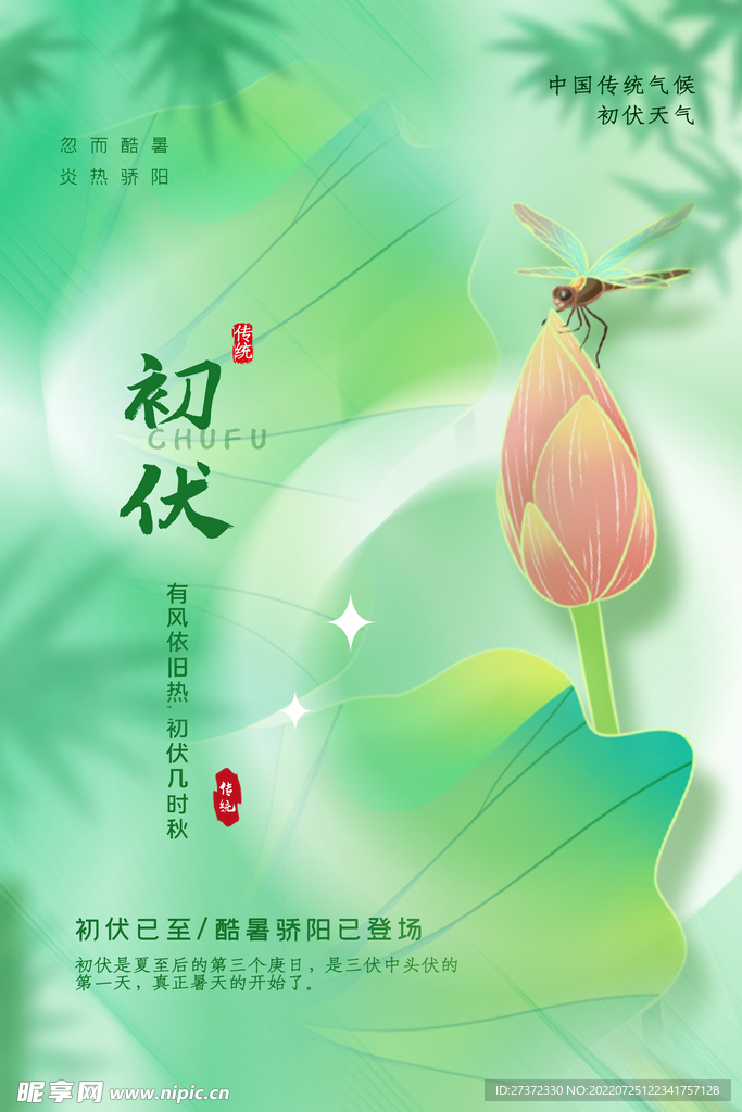 入伏海报