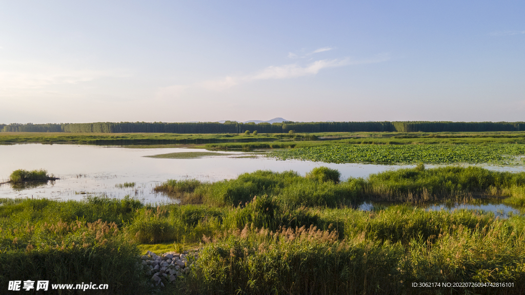 东平湖湿地