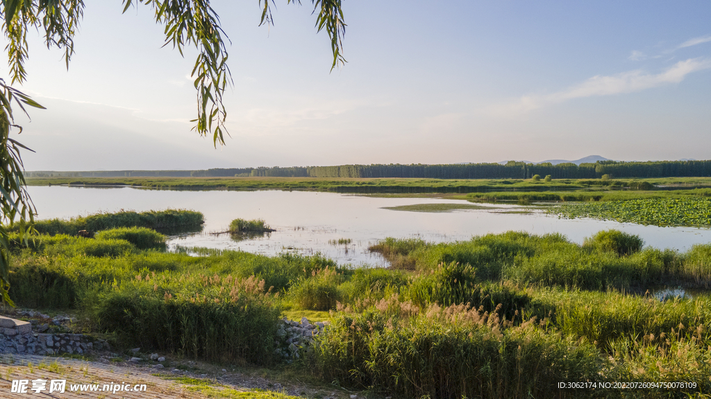 东平湖湿地