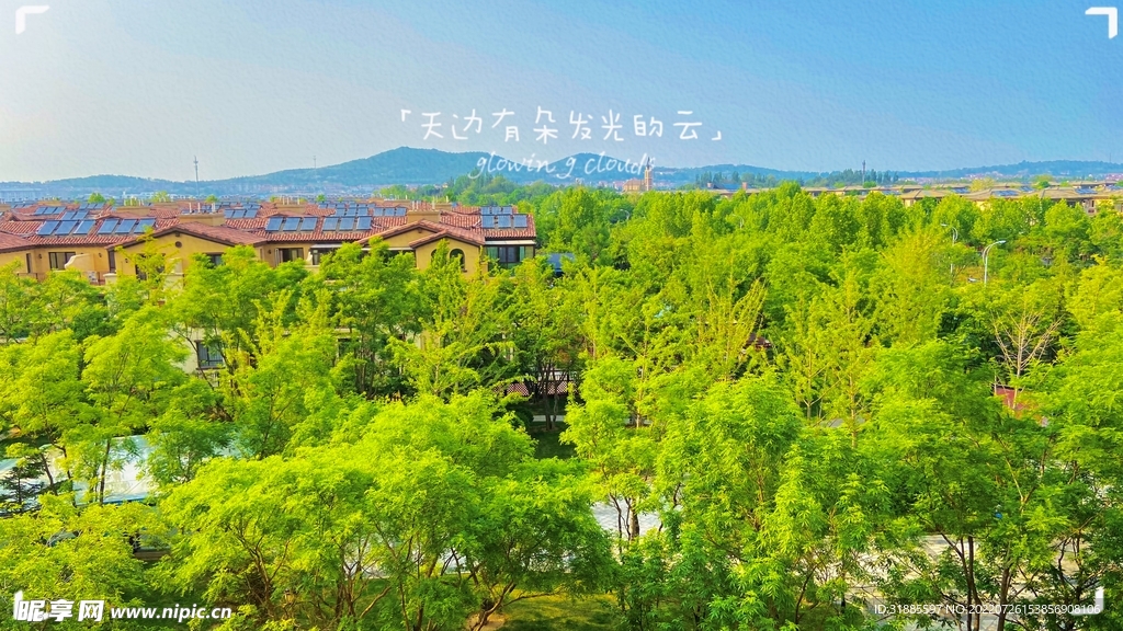 绿色