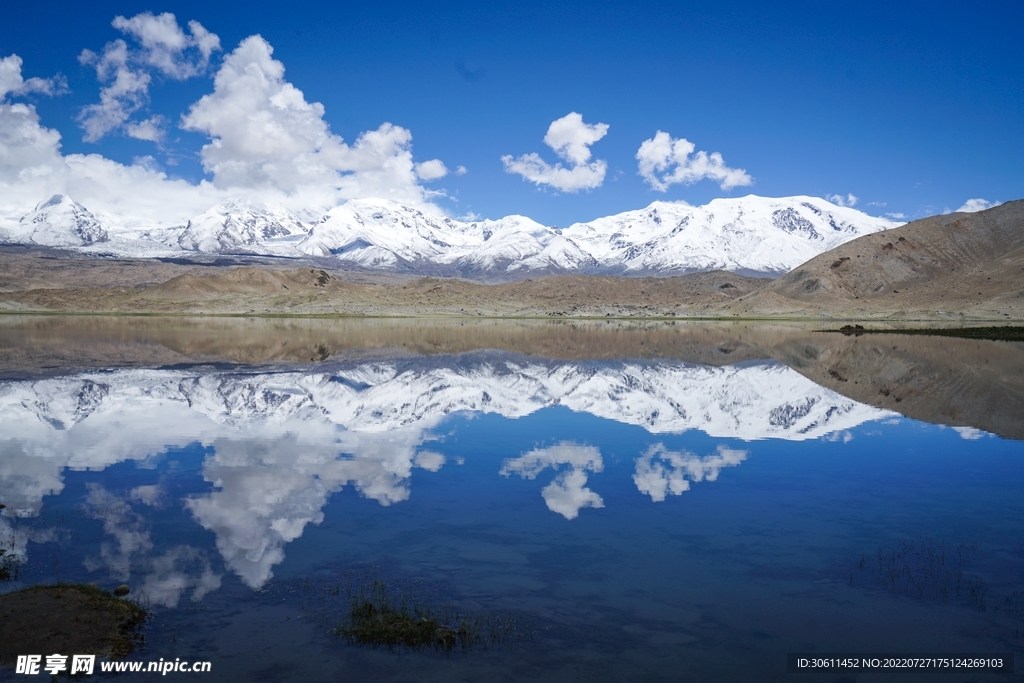 天山雪山绿草地