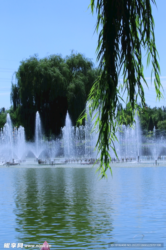 公园风景