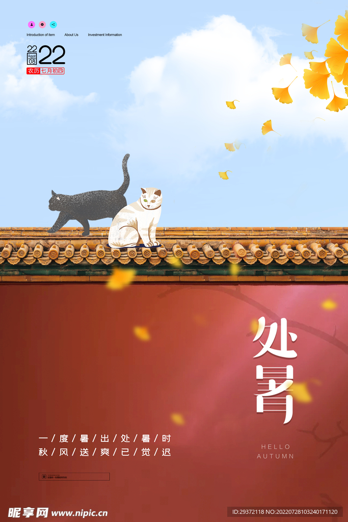 简约意境猫咪处暑海报