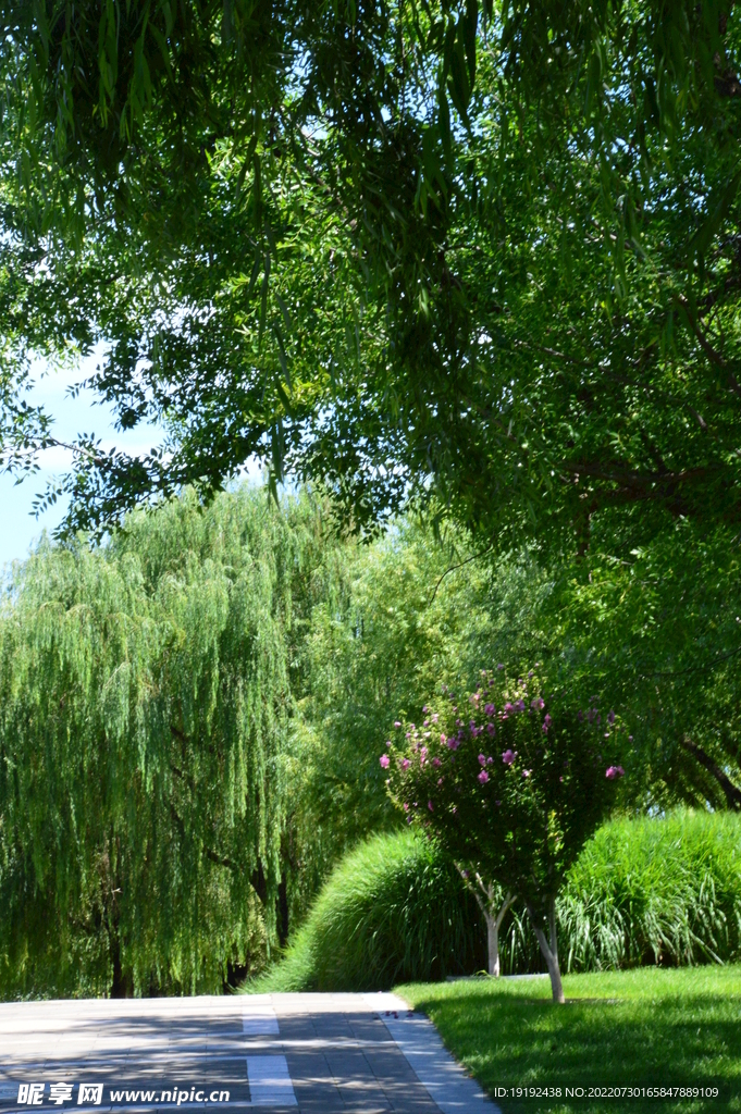 公园风景