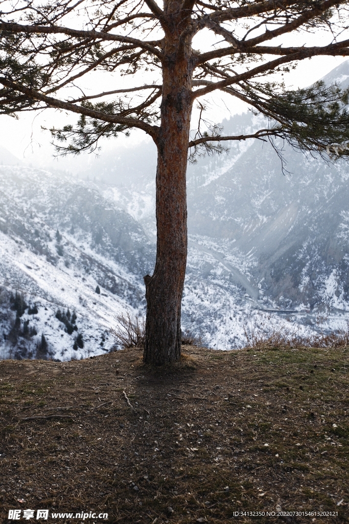 雪景