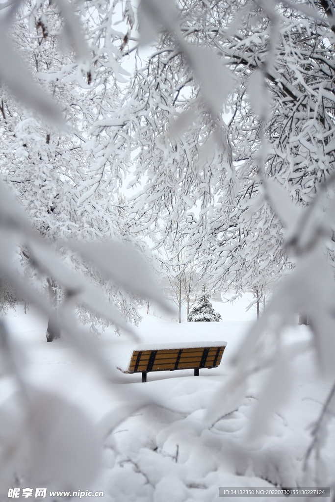 雪