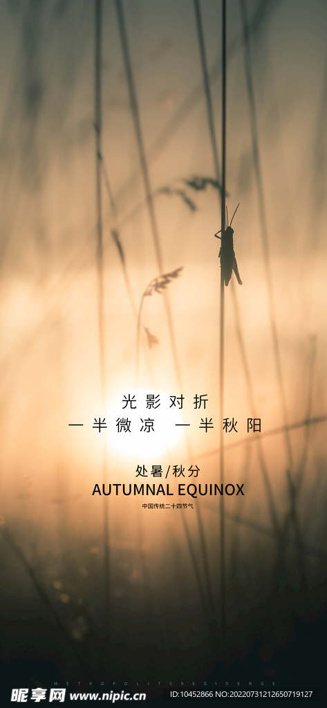 处暑秋分秋分