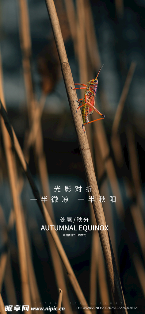 处暑秋分立秋