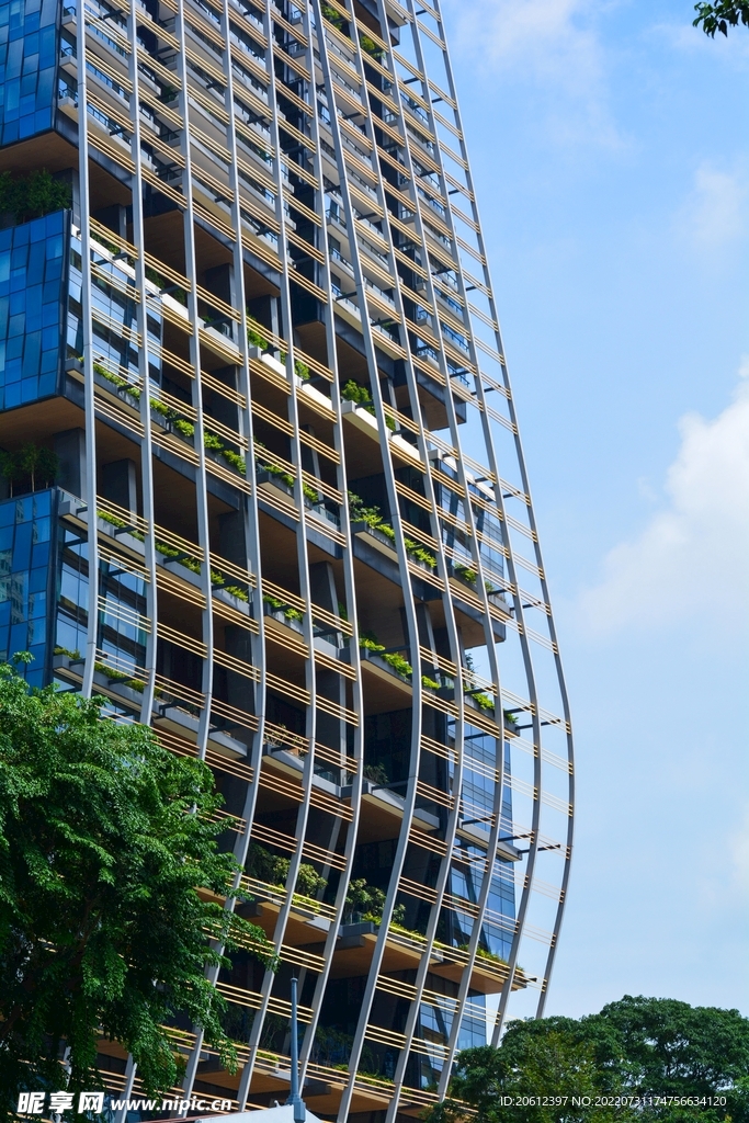 新加坡 城市 滨海 建筑 