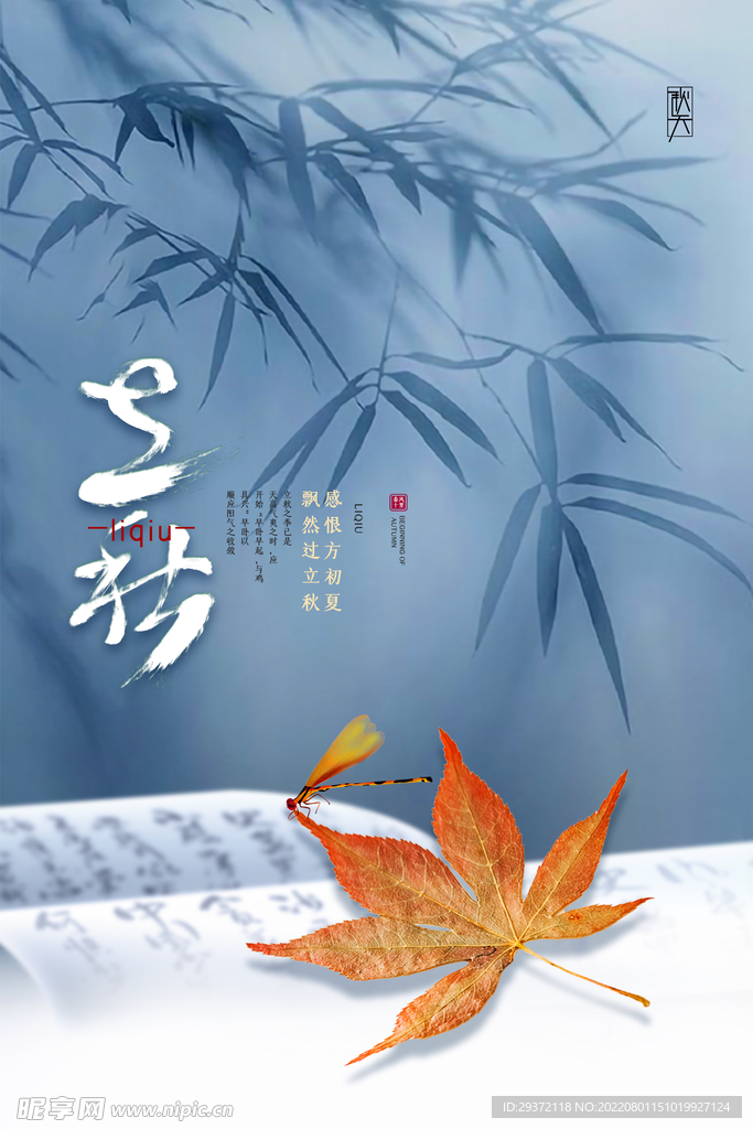简约中国风立秋枫叶节气海报