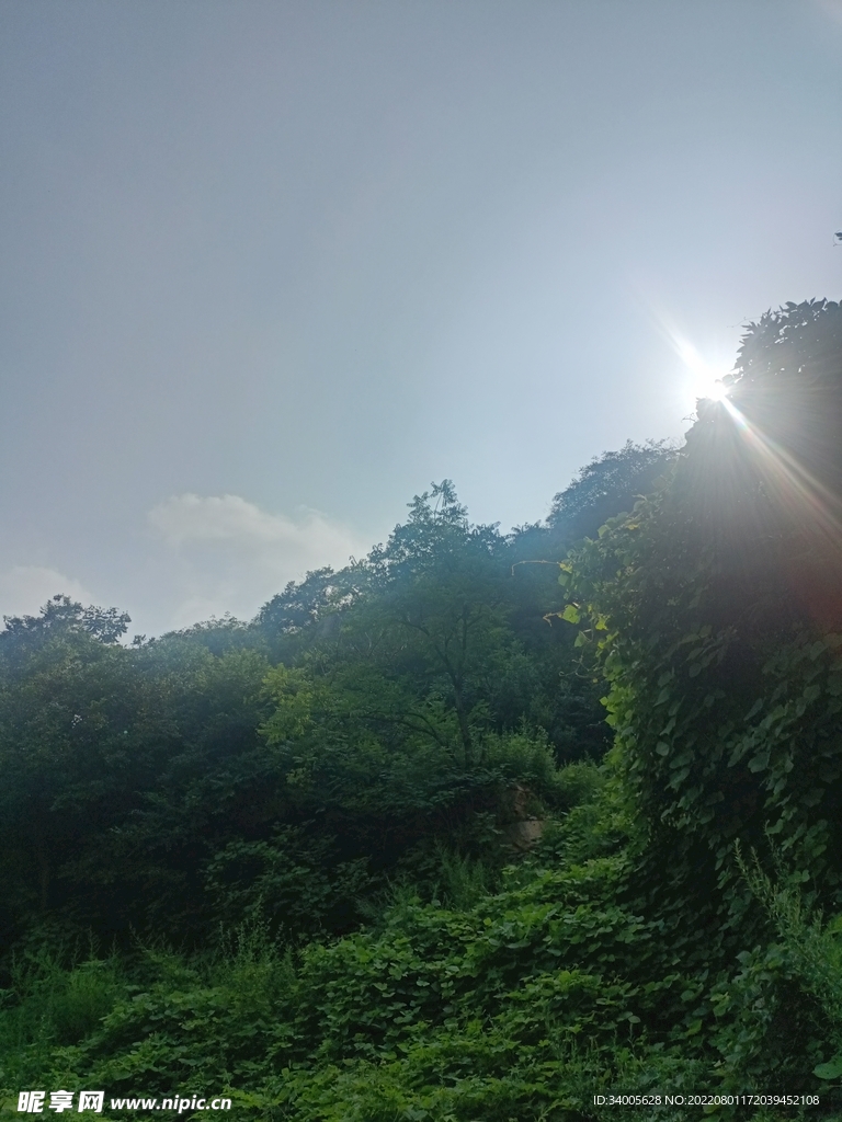 山外山